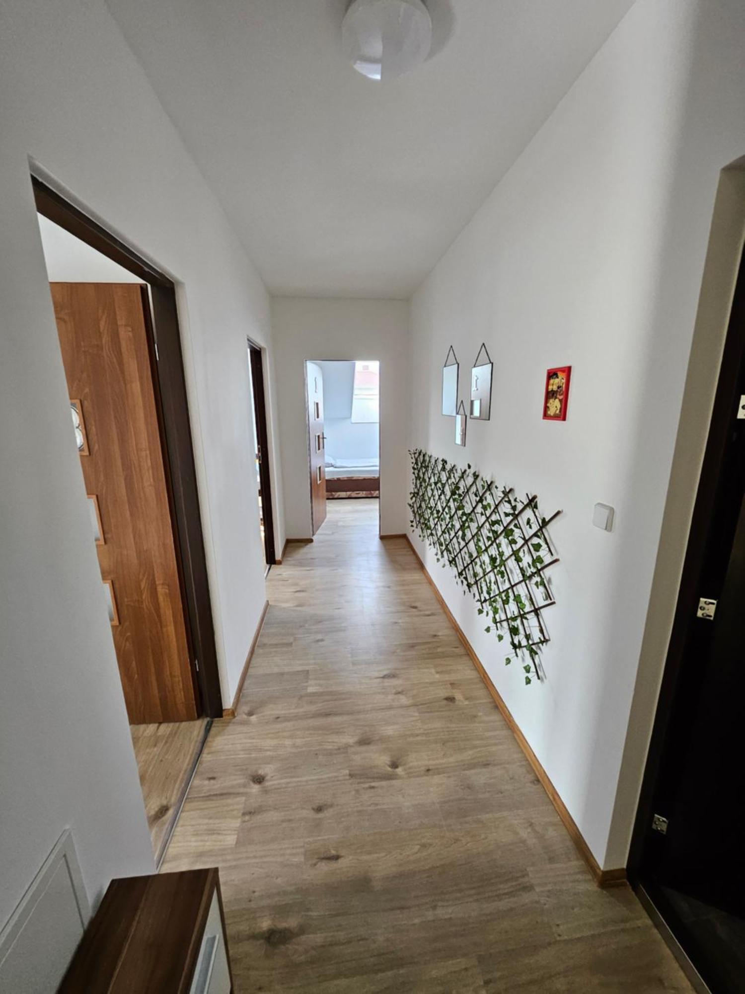 Wohngemeinschaft- Einzelne Zimmer Dresden Exterior photo